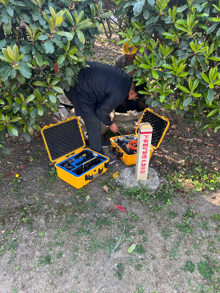 65dc3228e9b82.jpg 65dc3228e9b82.jpg