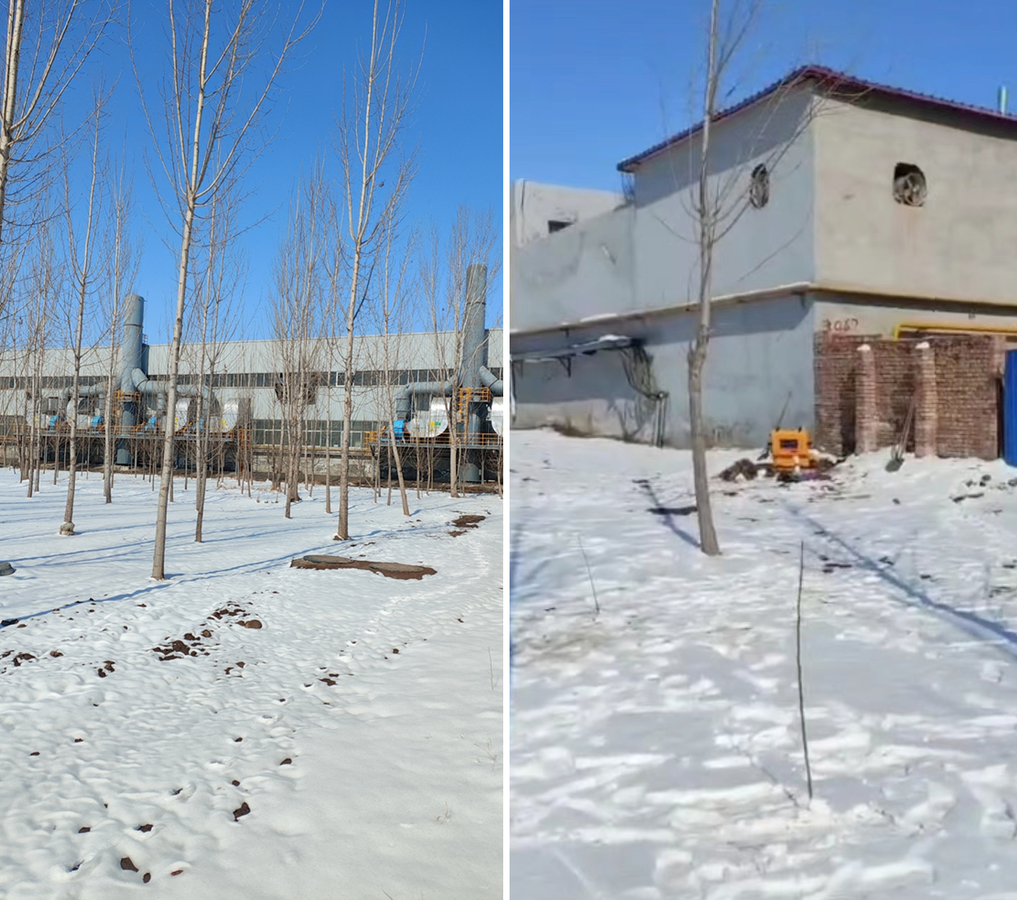 65e132c402548.jpg 65e132c402548.jpg