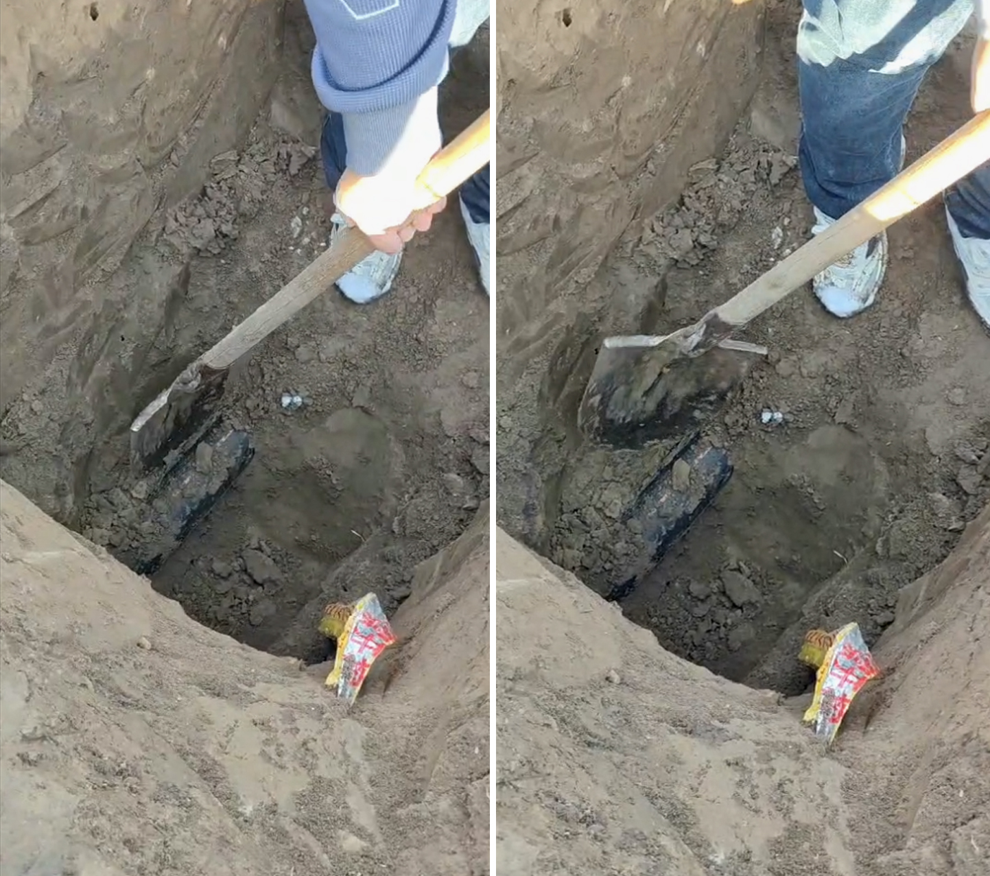 65e133776e824.jpg 65e133776e824.jpg