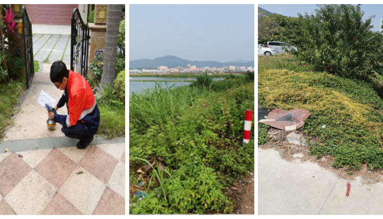 5d6f23d8a1d10.jpg 5d6f23d8a1d10.jpg